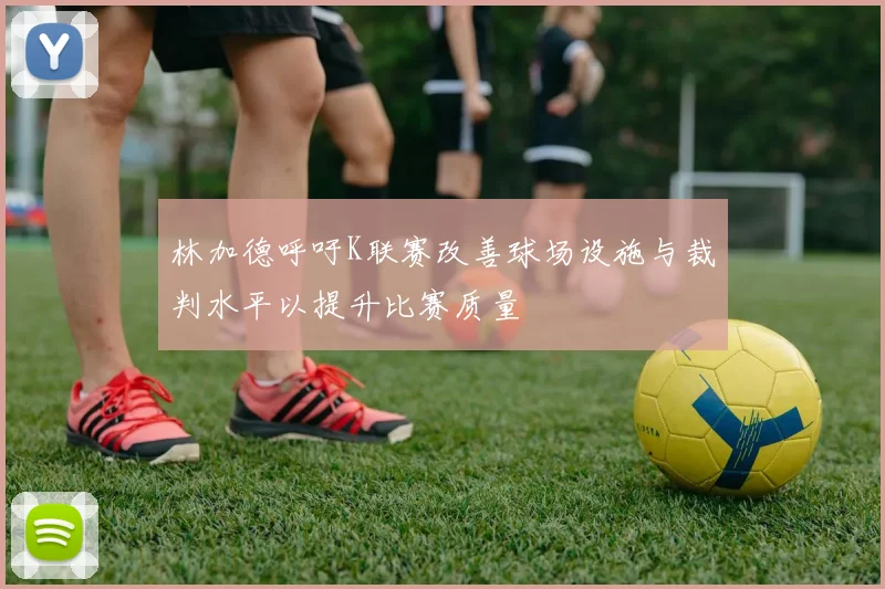 林加德呼吁K联赛改善球场设施与裁判水平以提升比赛质量