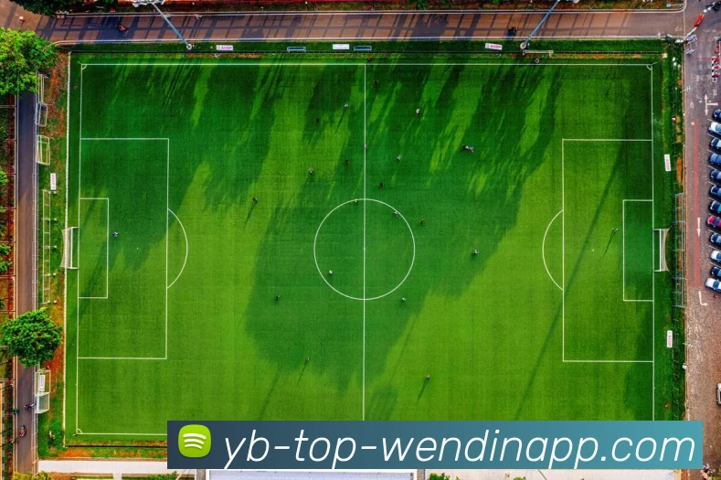 多媒体互动体验